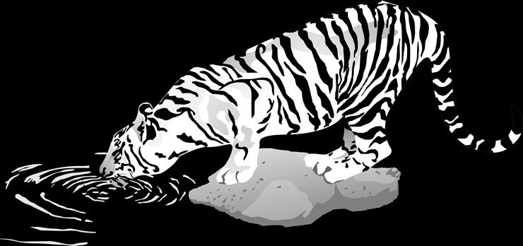 TYGRYSY - Tigers 14.png