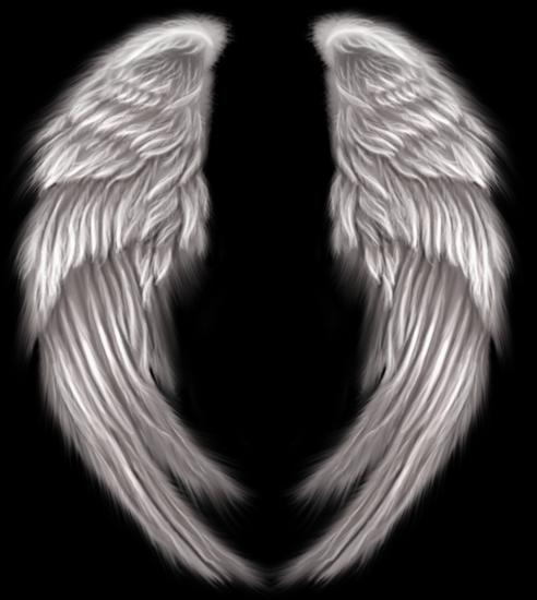 anioły i demony - skrzydła3.png