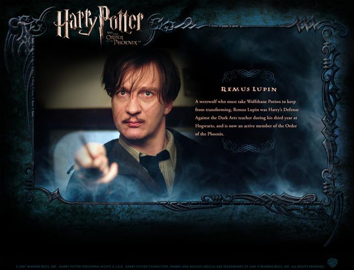 Character Profile - Character-Profile-harry-potter-130066_1050_800.jpg
