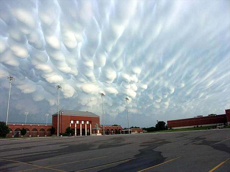 natura - Mammatus.jpg