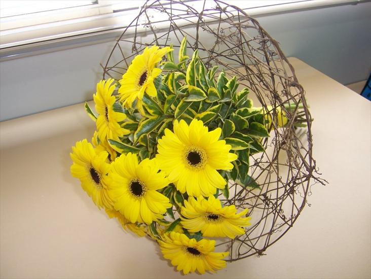 Bukiety kwiatowe - Yellow_Gerbera_Bouquet_by_xcrimson_kissesx.jpg