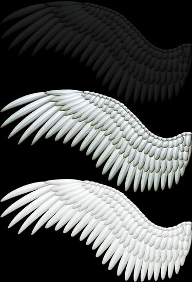 anioły i demony - skrzydła 8.png