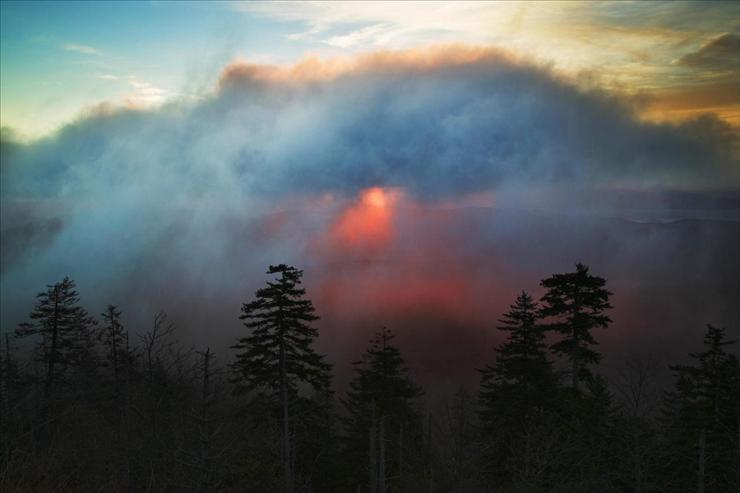 Webshots Collections - Foggy Sunrise From Clingmans Dome, Great Smoky Mountains, Tennessee  Adam Jones.jpg
