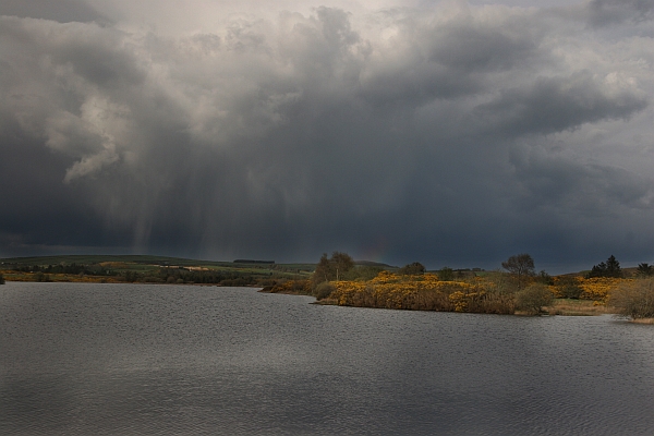 FOTO IRLANDIA GÓRY WICKLOW - 24.jpg