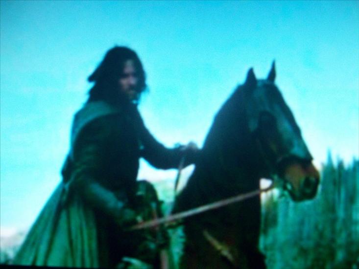 Aragorn - 100_07031.jpg