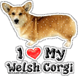 Corgi - welsh-corgi-1.gif