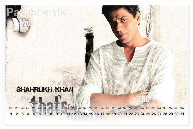 Shah Rukh Khan - shah rukh khan 10.jpg