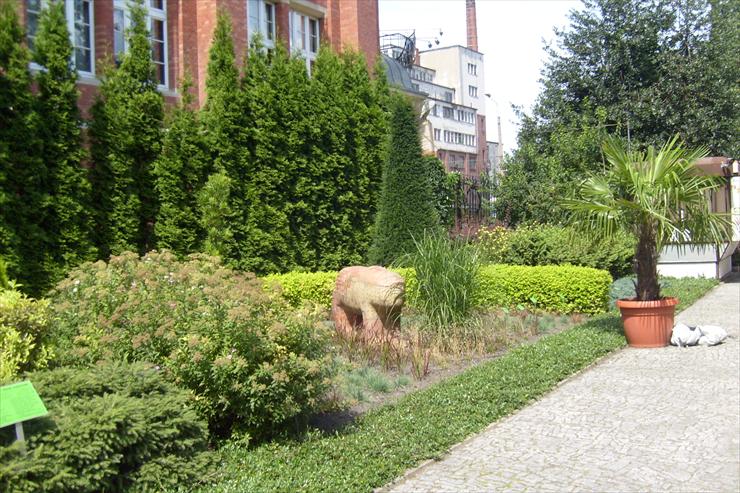 Wrocław - Ogród Botaniczny - alejka i rzeźba.JPG
