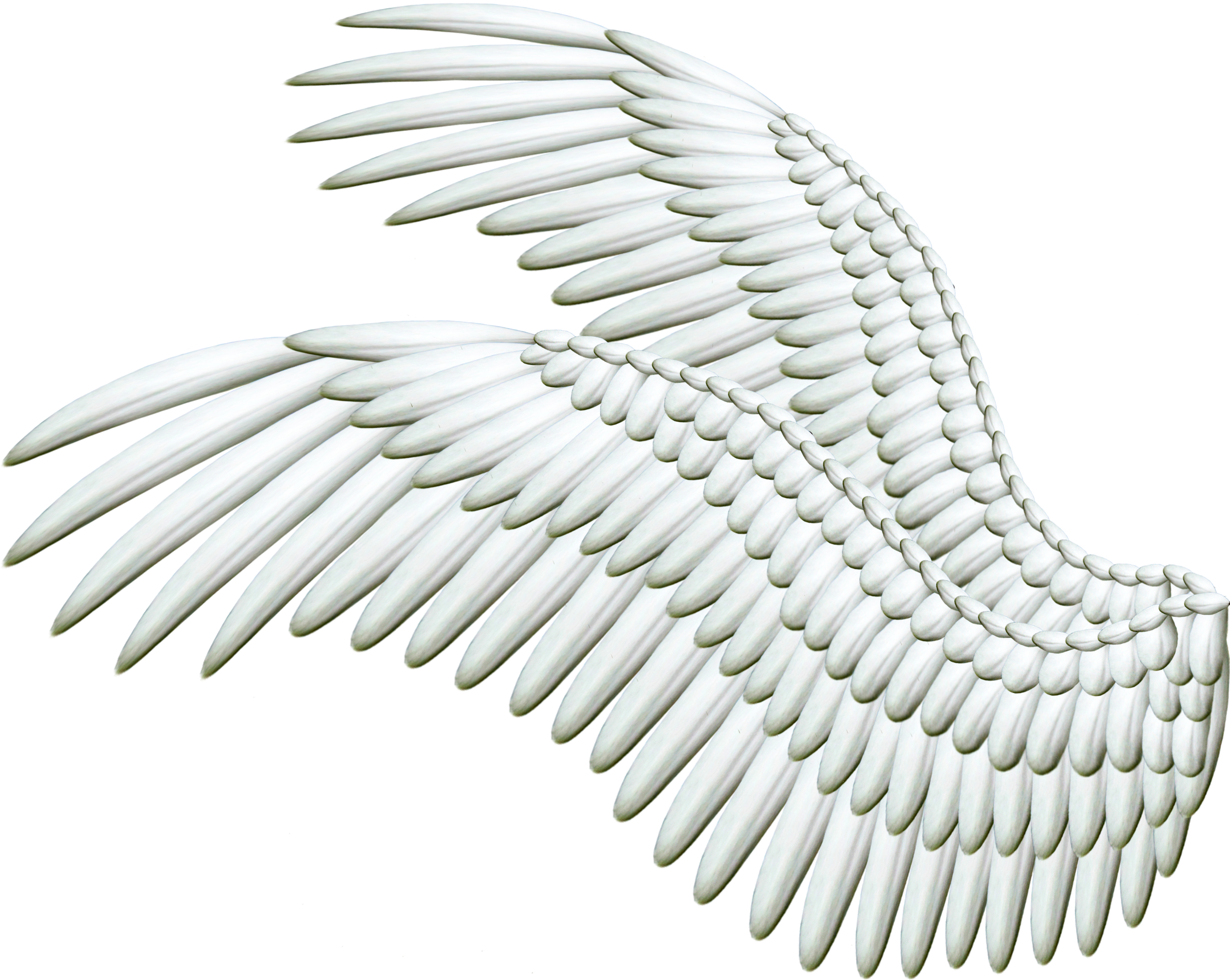 anioły i demony - skrzydła 2.png