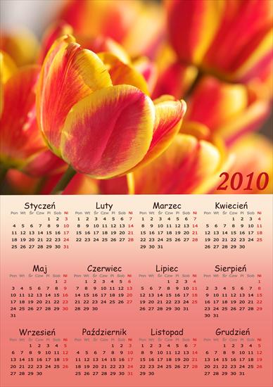 Kalendarze - Kalendarz 2010 21.png