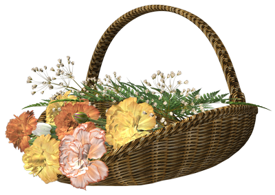 KWIATY 2 - Carnation-basket-4.png