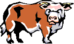 Krowy - kuh13.gif