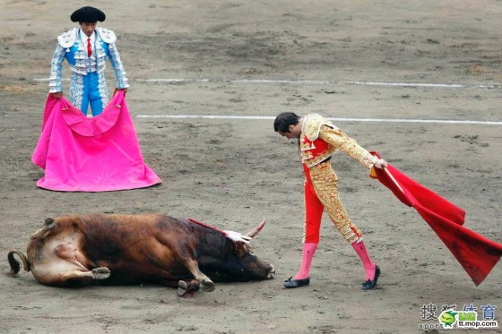 Pogromcy byków - spain-spanish-bullfighting-matadors-23-560x373.jpg