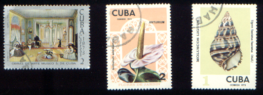 Kuba - 011.bmp