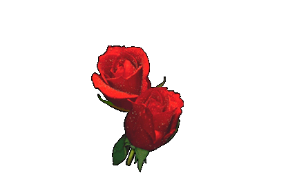roze i inne kwiaty - rosesls4.gif