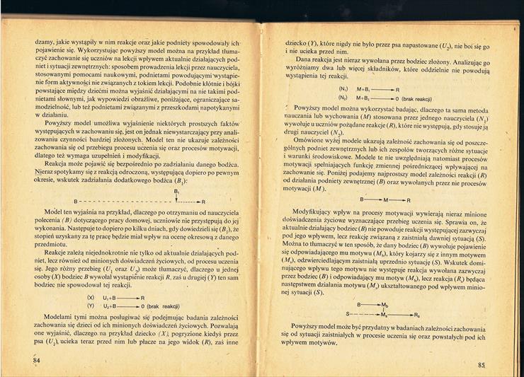 Skorny - Prace magisterskie z psychologii i pedagogiki - 84-85.jpg