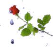 róże czerwone 2 - fiori_anim_3.gif