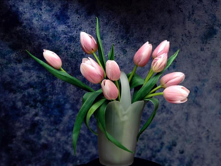 Kwiaty - Petal Pushers.jpg